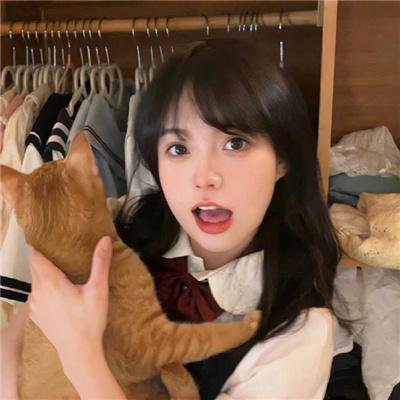 卫斯理之老猫